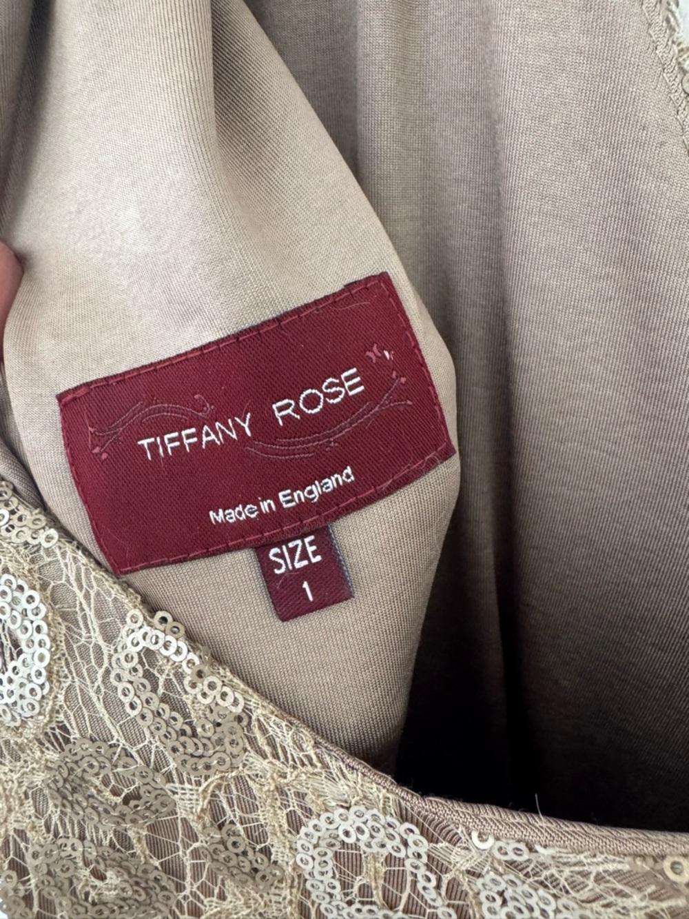 Tiffany Rose Maternity Evening Gown in Beaded Sparkly Taupe and Cream - Picture 4 of 6